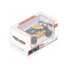 R/C CAR